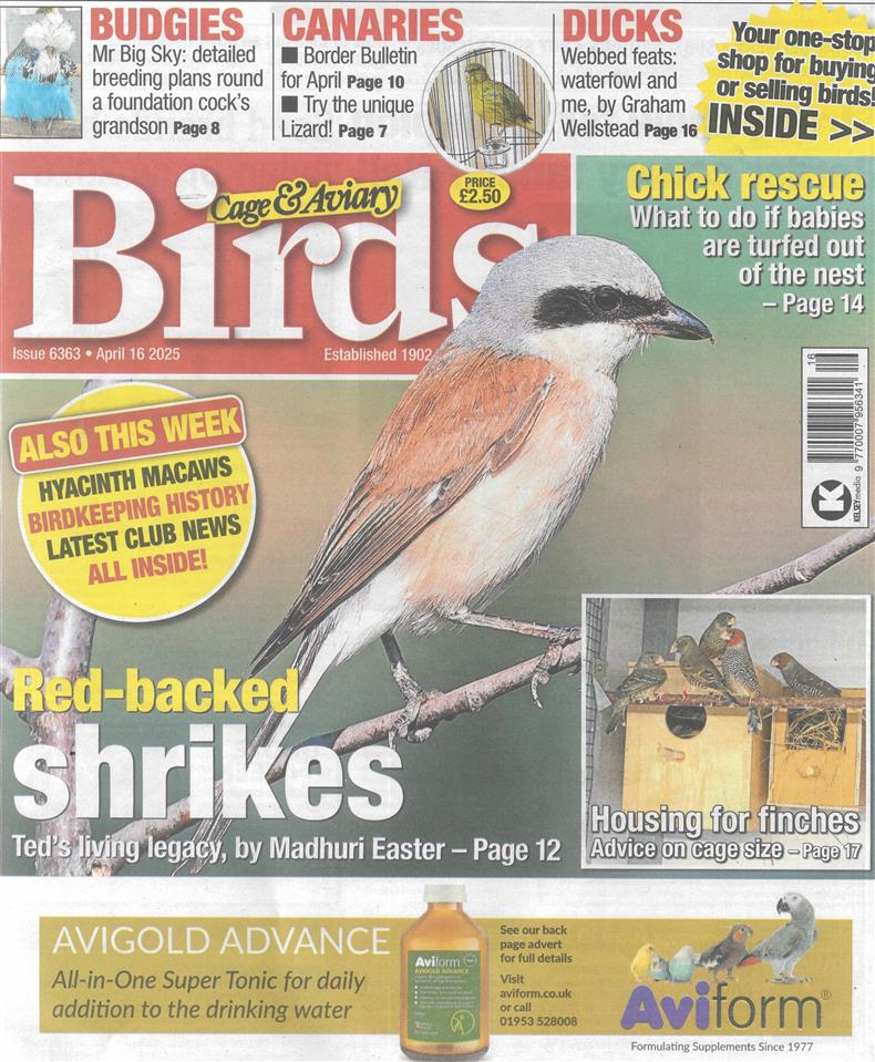 Cage and Aviary Birds - 16/04/2025