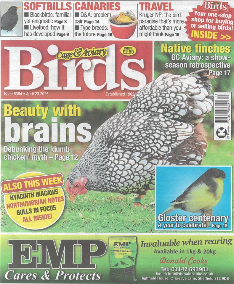 Cage and Aviary Birds - 23/04/2025