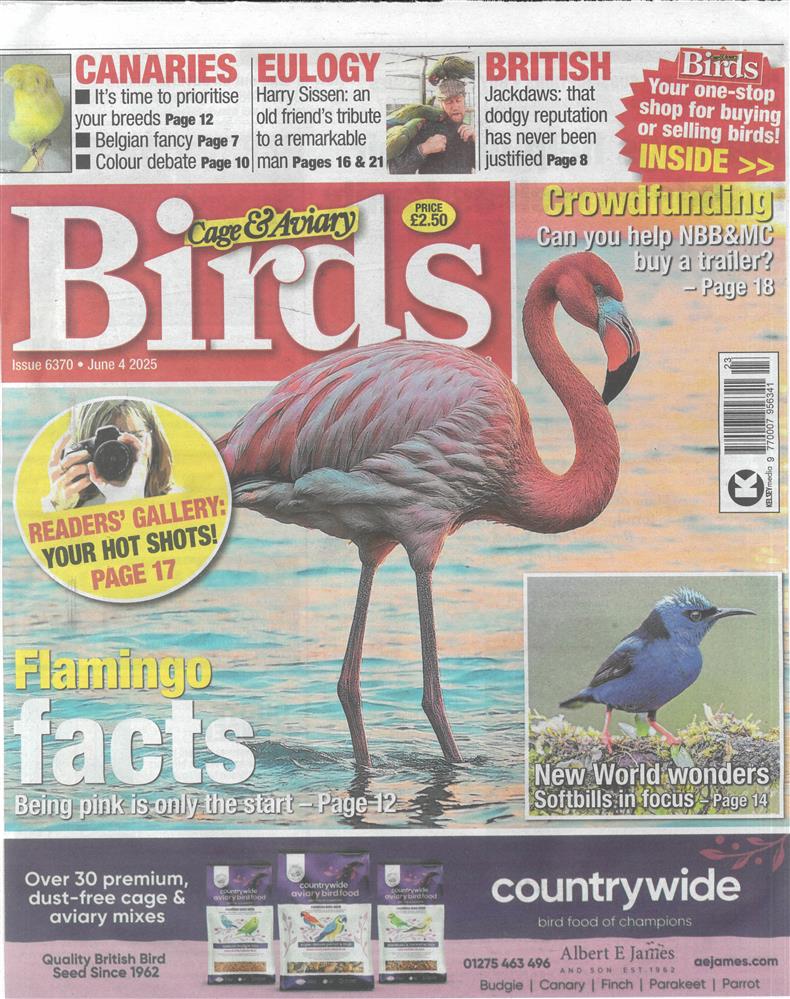 Cage and Aviary Birds - 04/06/2025