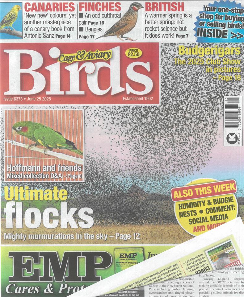 Cage and Aviary Birds - 25/06/2025