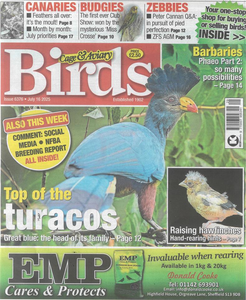 Cage and Aviary Birds - 16/07/2025