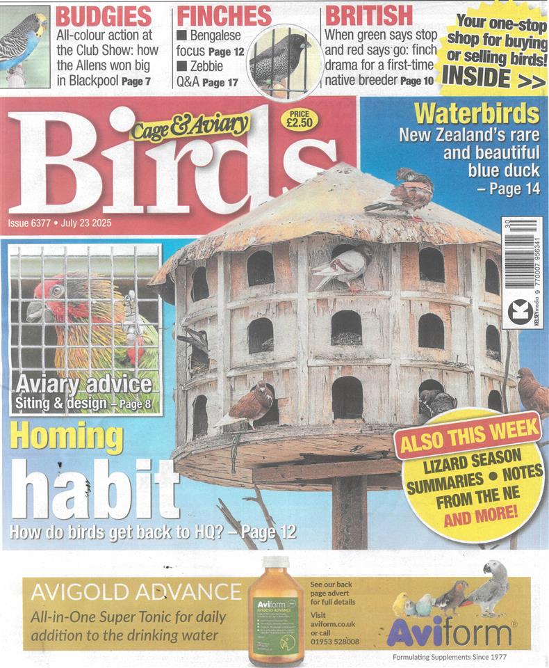 Cage and Aviary Birds - 23/07/2025