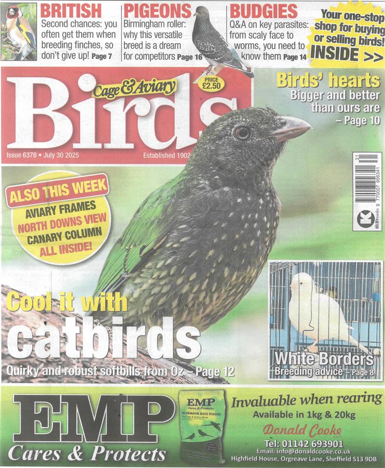 Cage and Aviary Birds - 30/07/2025