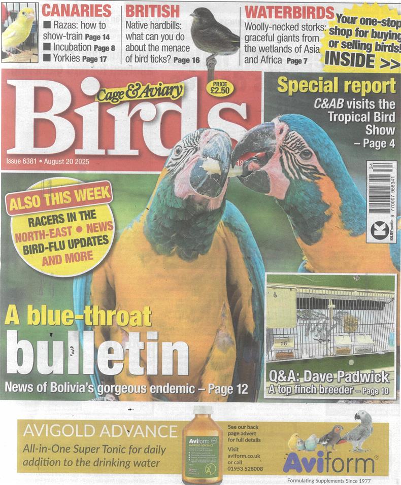 Cage and Aviary Birds - 20/08/2025