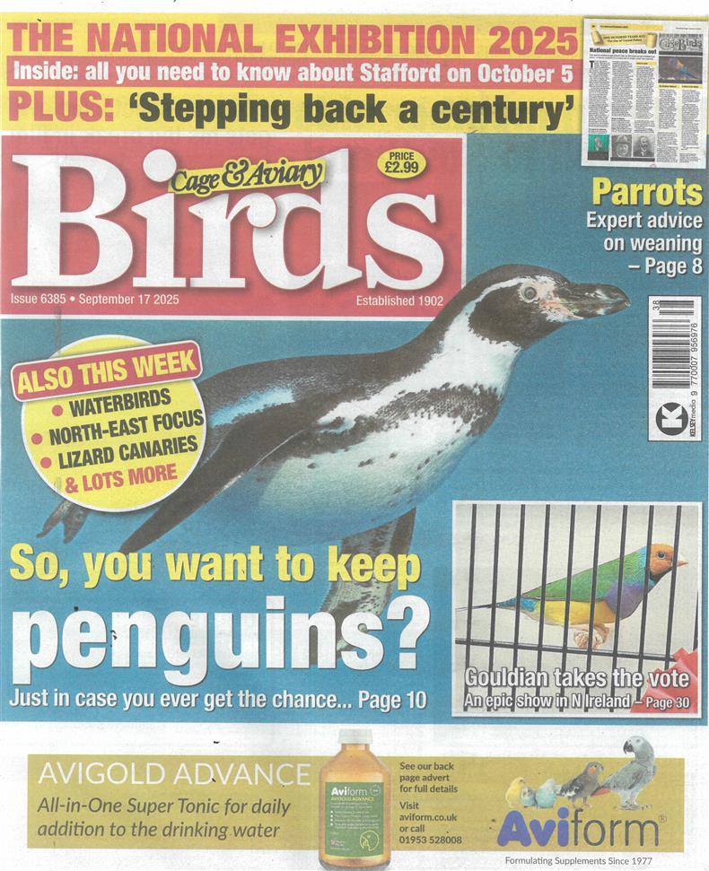 Cage and Aviary Birds - 17/09/2025