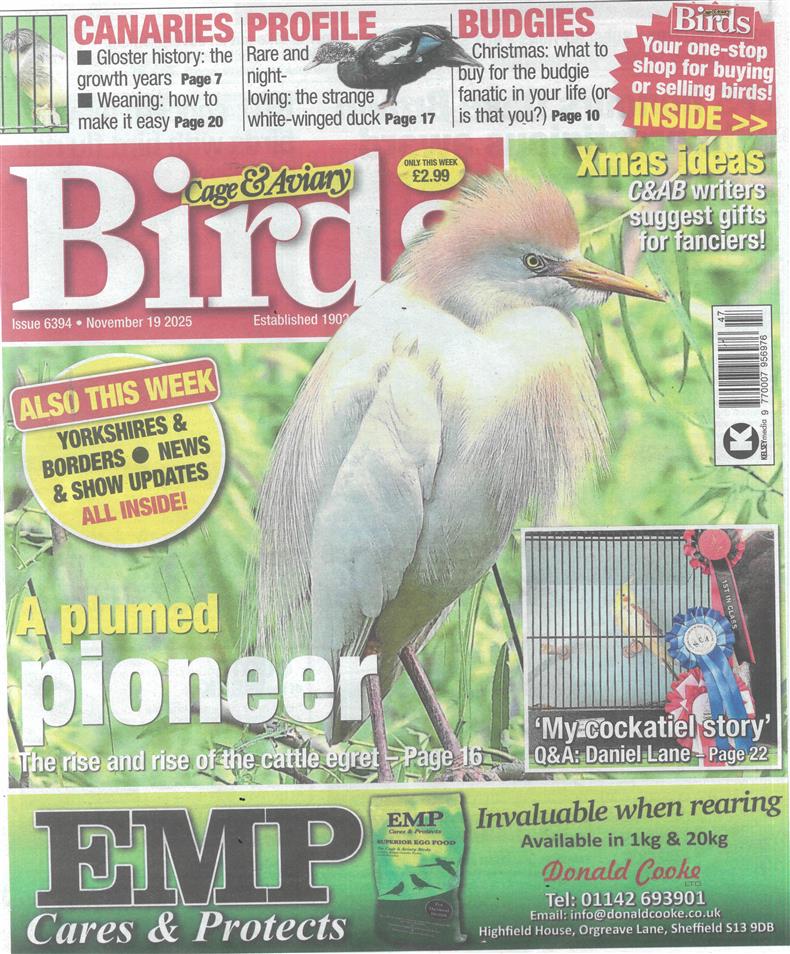 Cage and Aviary Birds - 19/11/2025