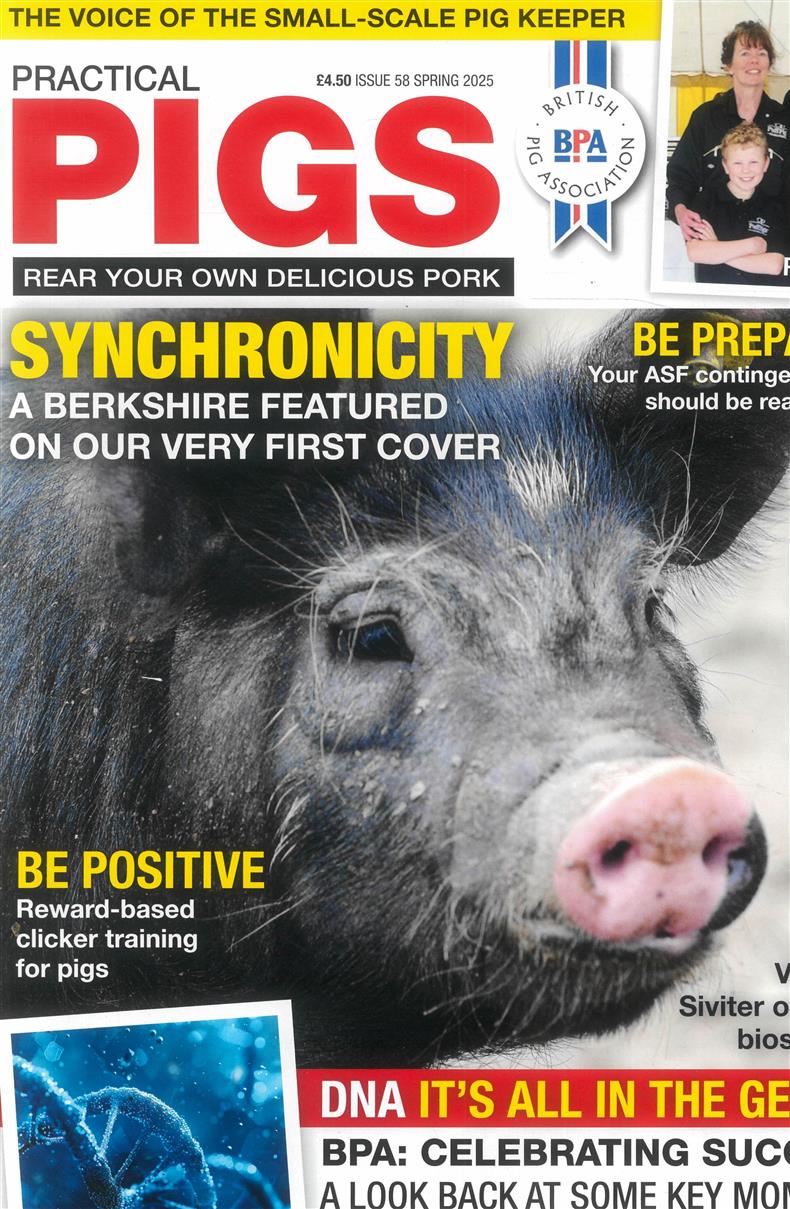 Practical Pigs - SPRING