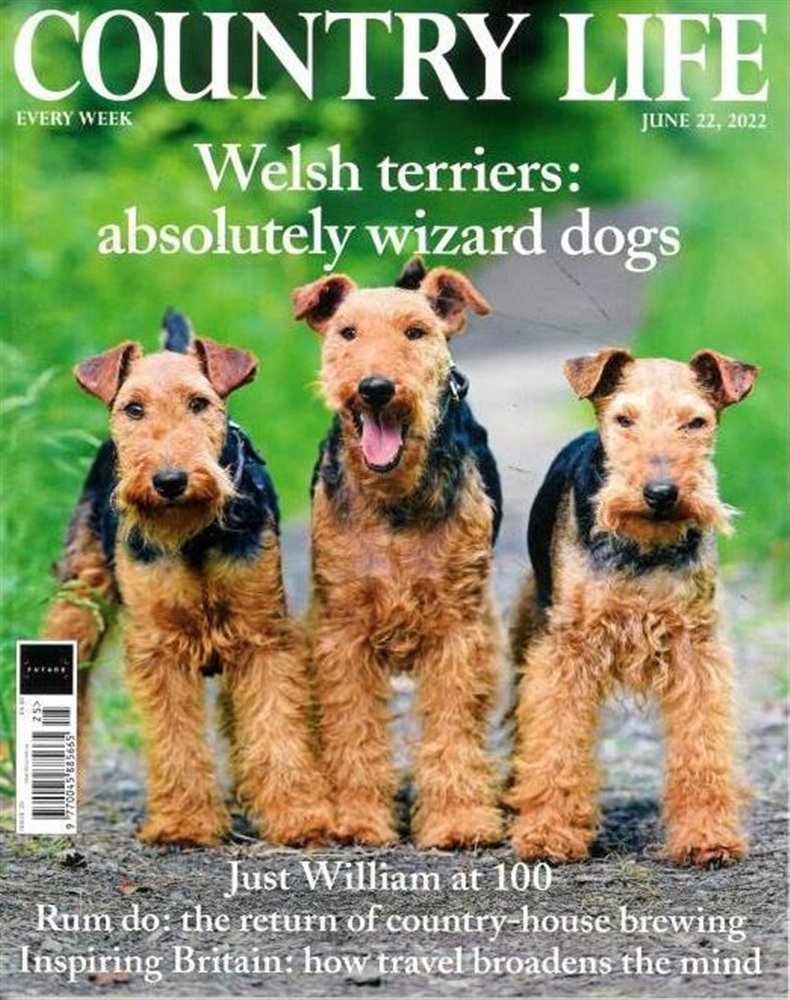 Country Life Magazine Issue 22/06/2022