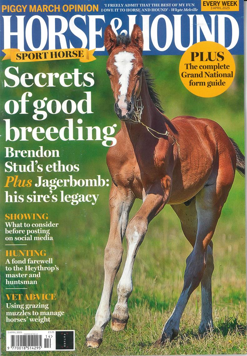 Horse And Hound - 03/04/2025