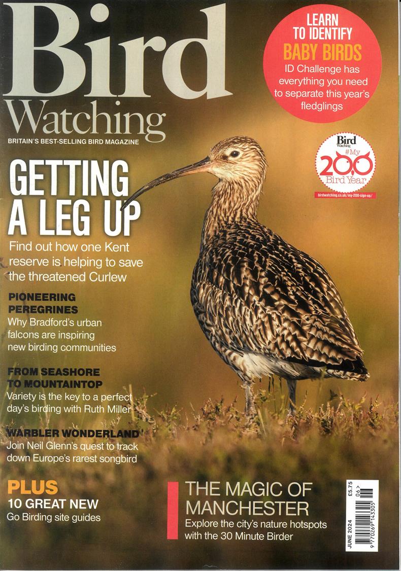 Bird Watching - JUN 24