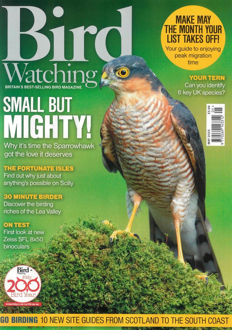 Bird Watching - MAY 25