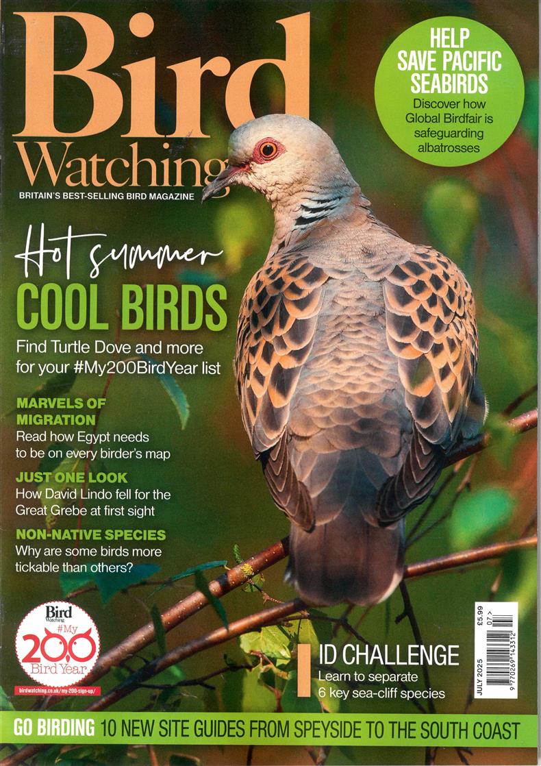 Bird Watching - JUL 25