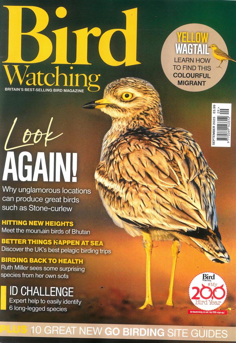 Bird Watching - SEP 25