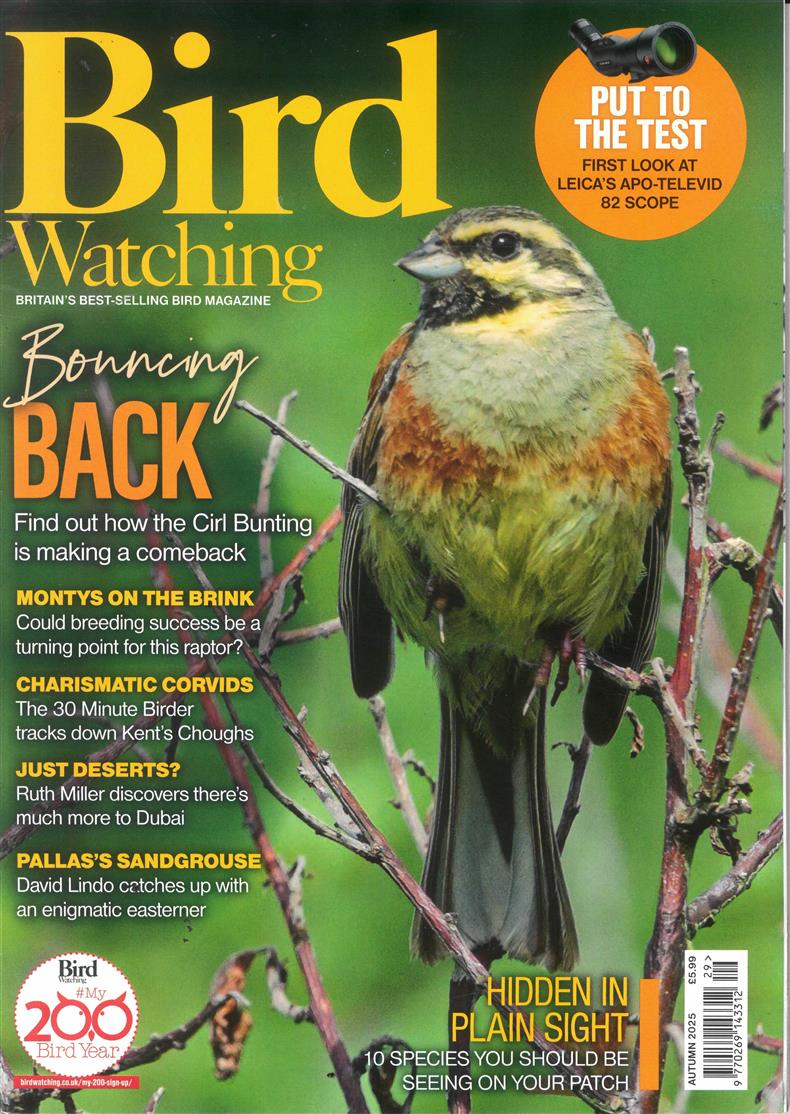 Bird Watching - AUTUMN