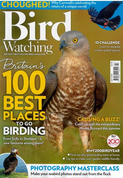 Bird Watching magazine