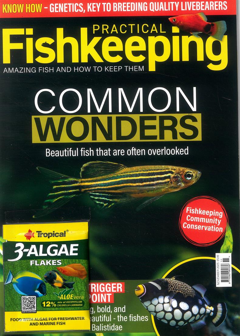 Practical Fishkeeping - NOV 25