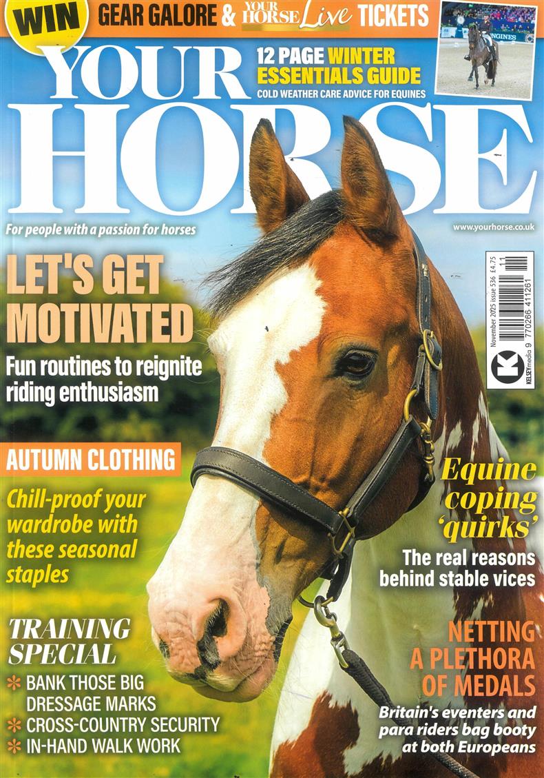 Your Horse - NOV 25