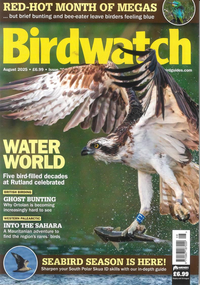 Birdwatch - AUG 25