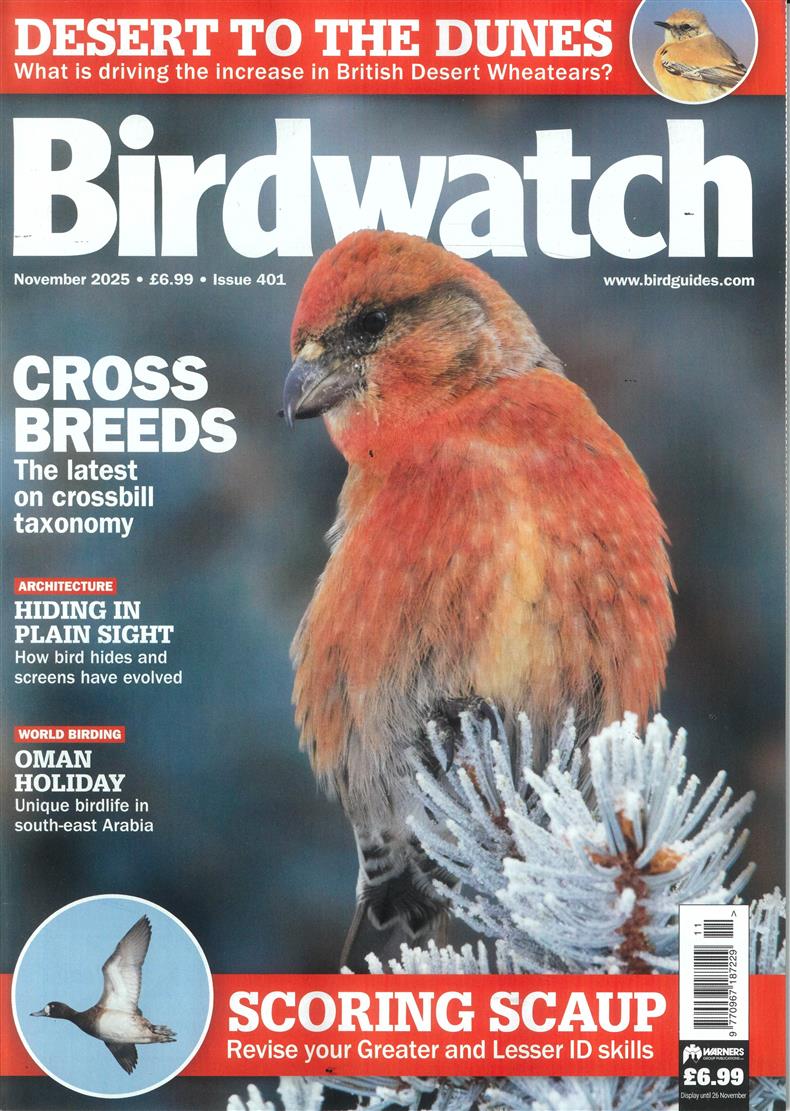 Birdwatch - NOV 25