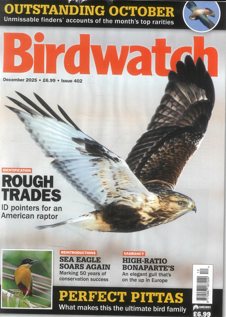 Birdwatch - DEC 25