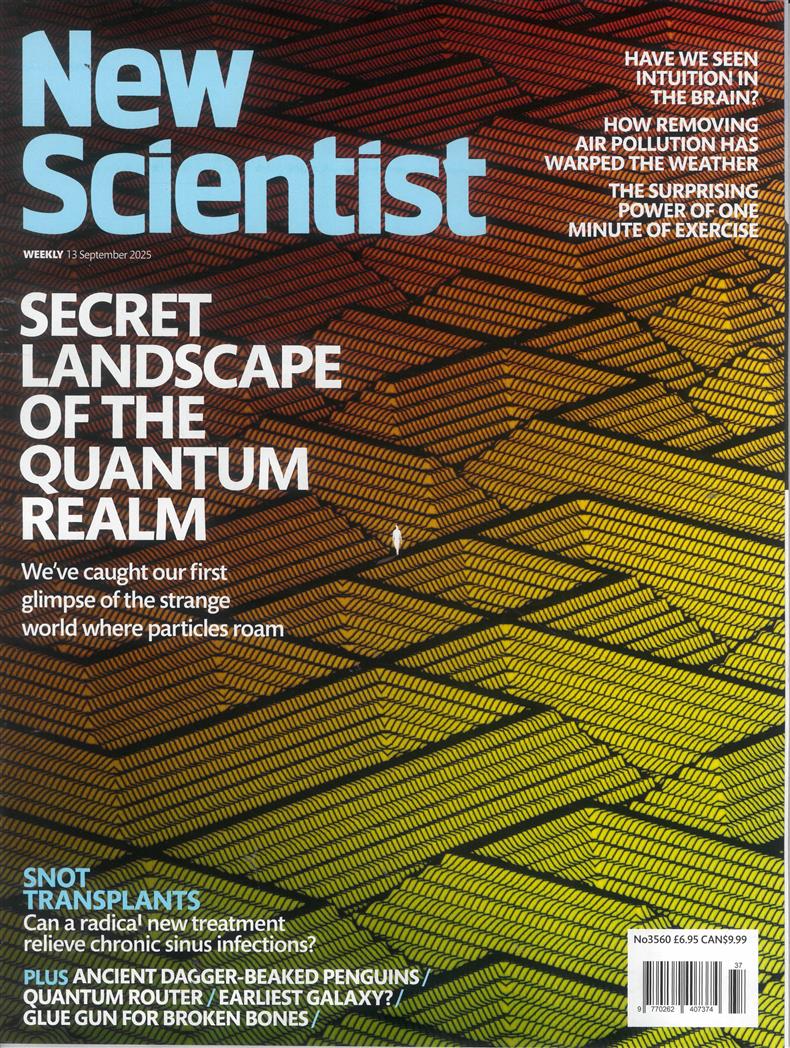 New Scientist - 13/09/2025
