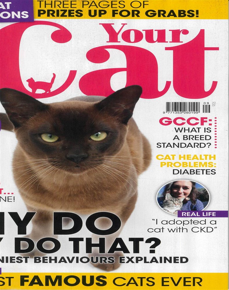Your Cat Magazine Issue SEP 22