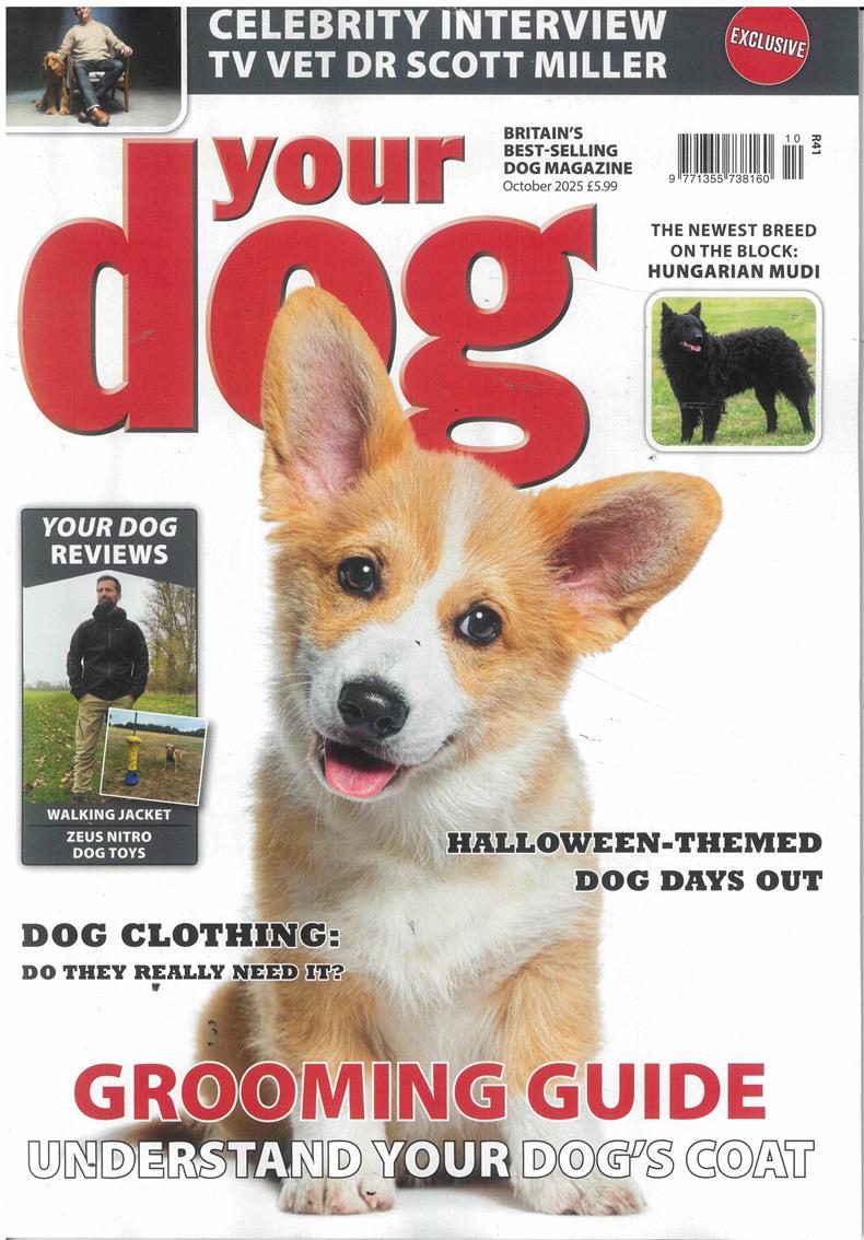 Your Dog - OCT 25