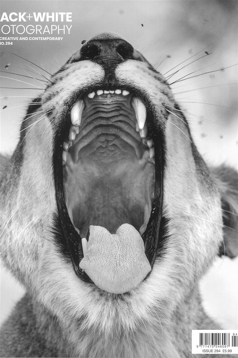 Black & White Photography - NO 294