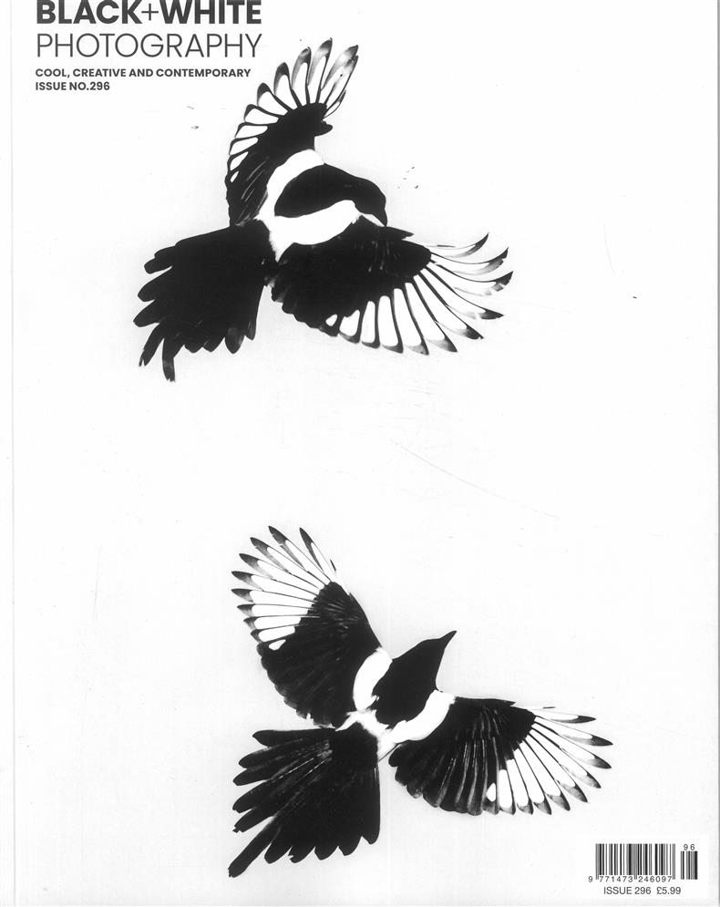 Black & White Photography - NO 296