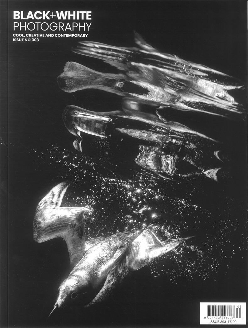 Black & White Photography - NO 303