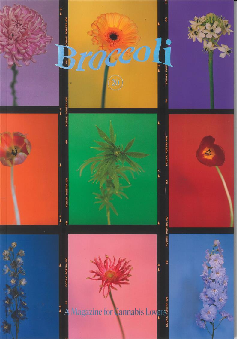 Broccoli - NO 20