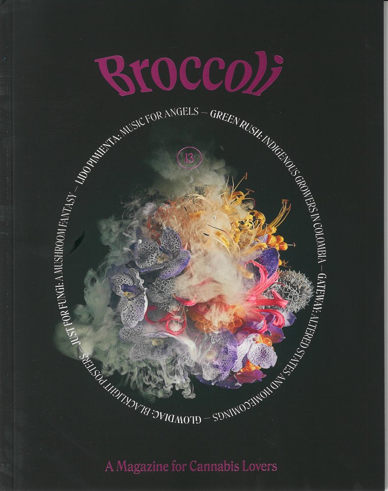 Broccoli Magazine Issue NO 13