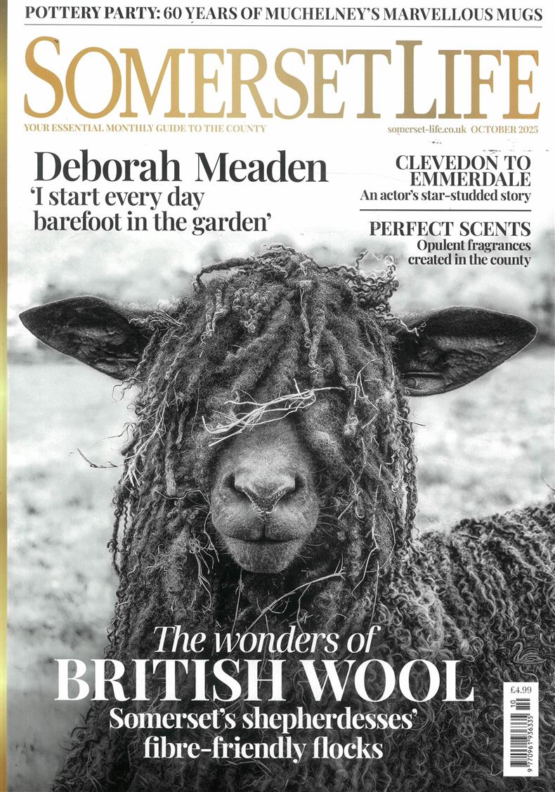 Somerset Life - OCT 25