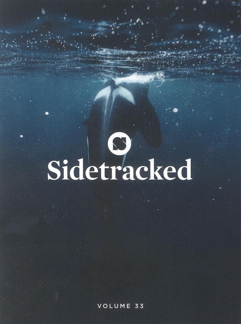 Sidetracked - No 33