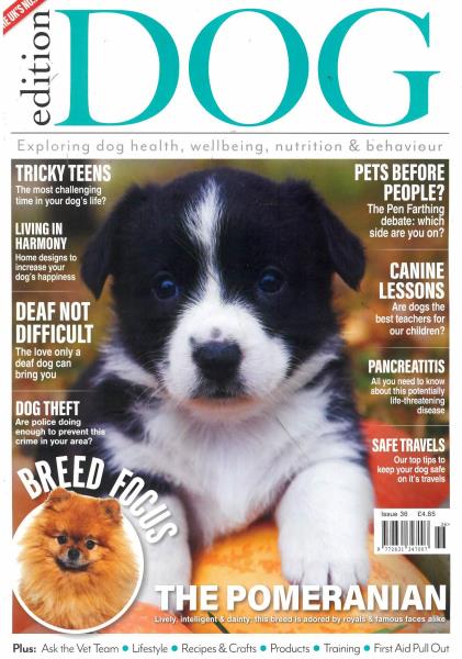 Edition Dog magazine