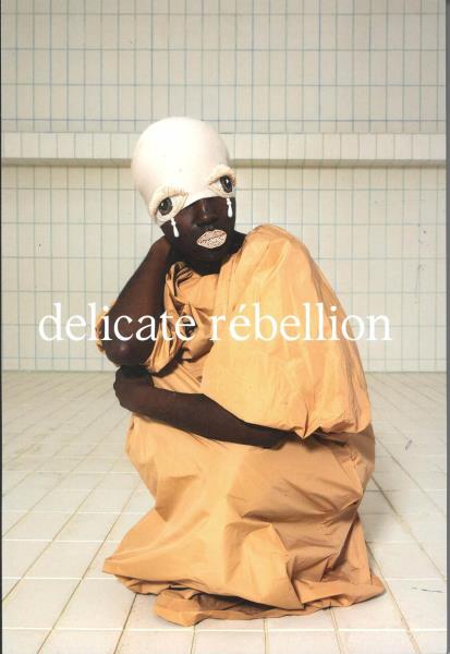 Delicate Rebellion magazine