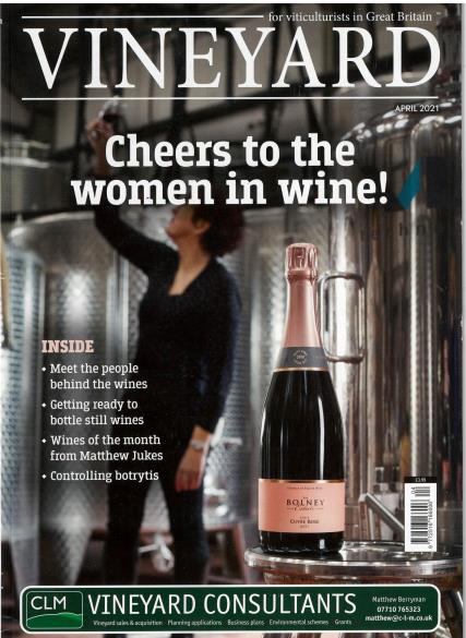 Vineyard Magazine