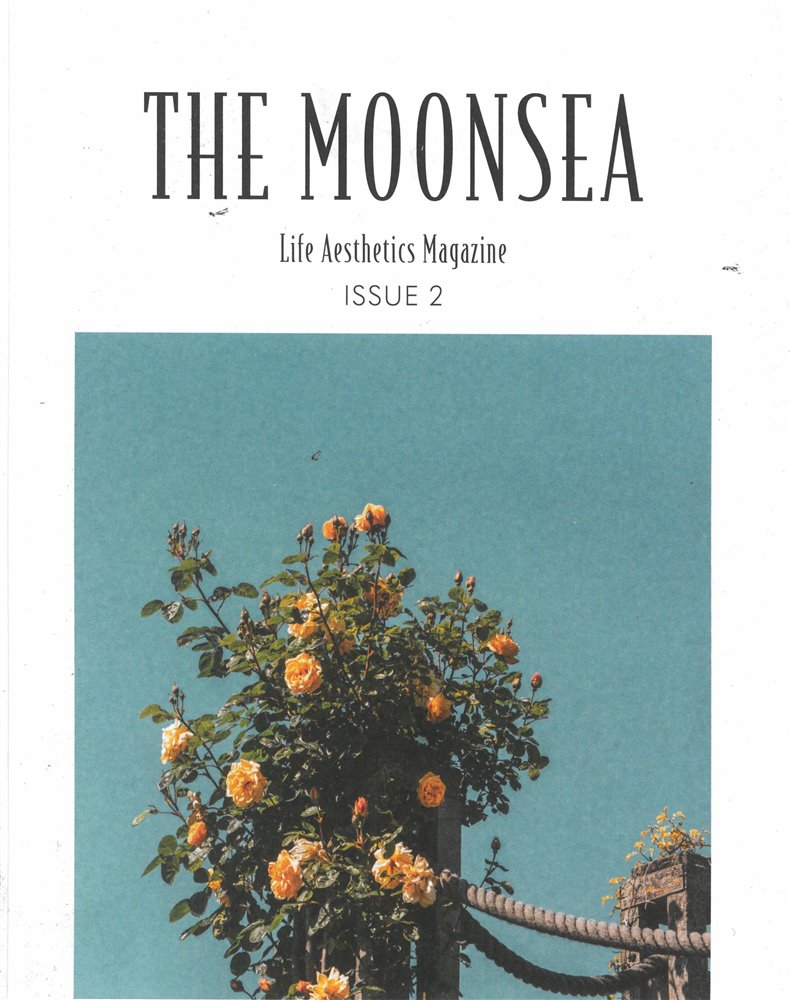 The Moonsea Magazine Issue NO 2