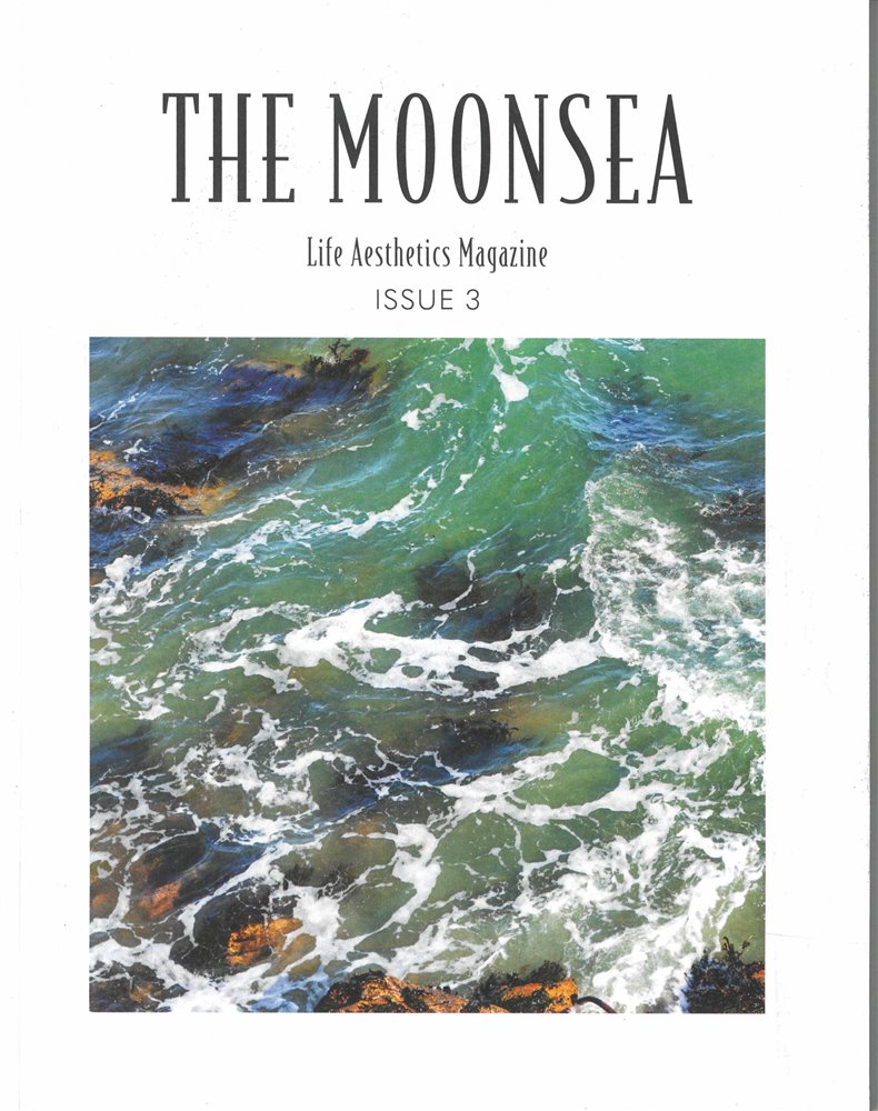 The Moonsea Magazine Issue NO 3