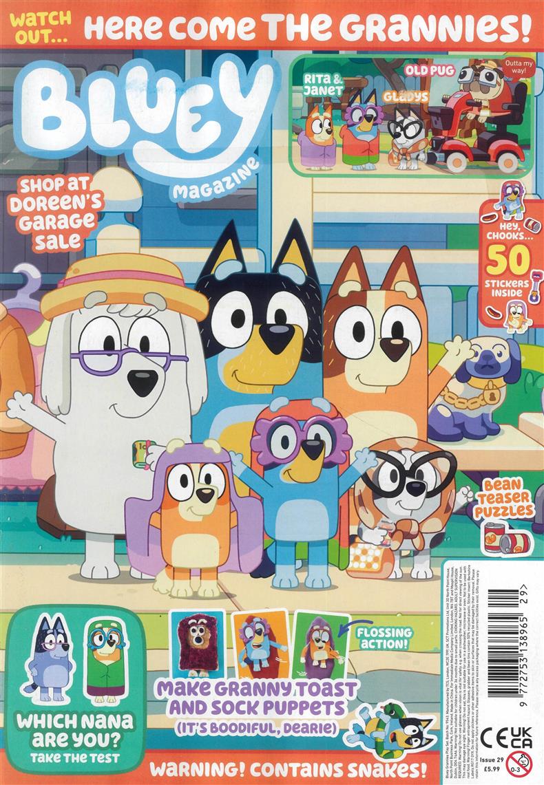 Bluey - NO 29
