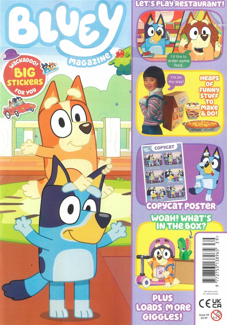 Bluey - NO 39