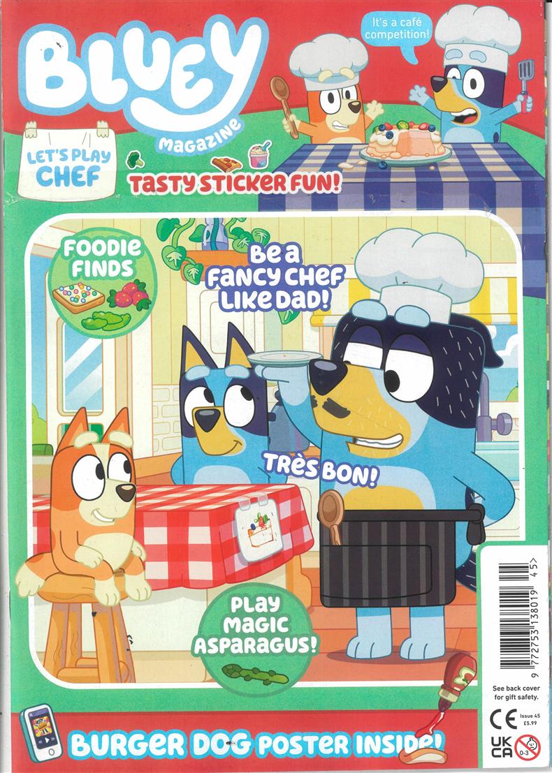 Bluey - NO 45