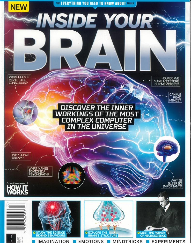 Everything You Need To Know - NO 37