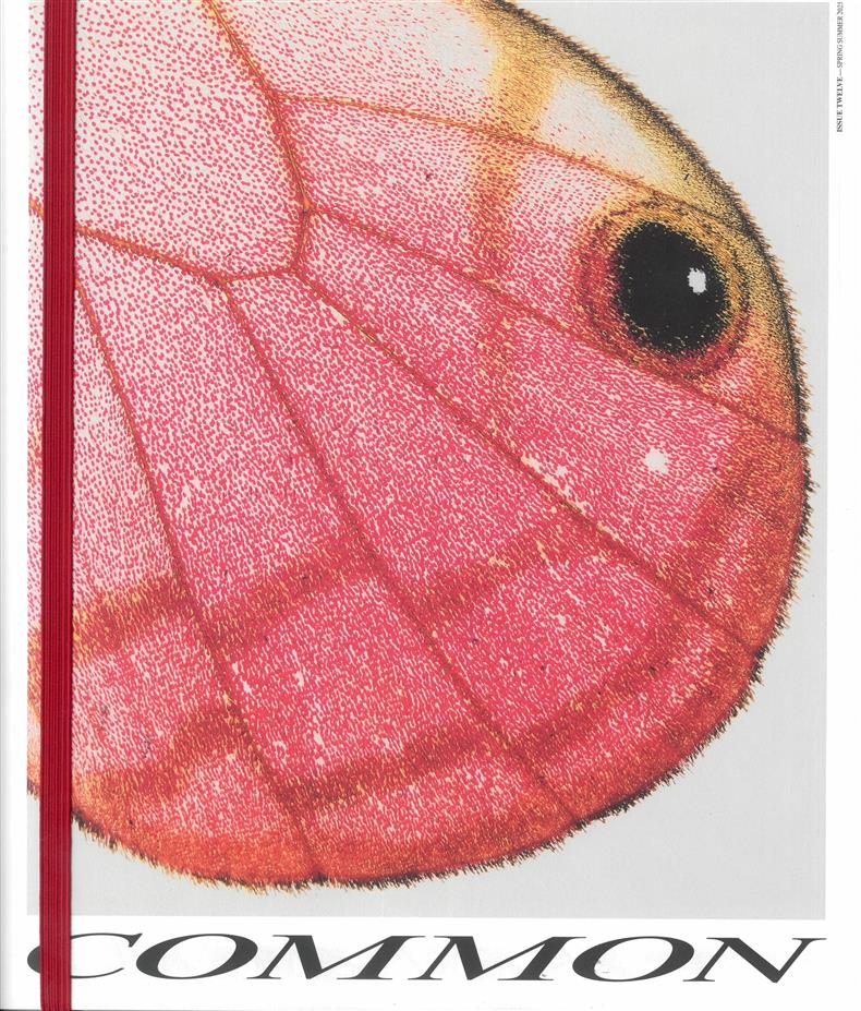 Common Language - NO 12