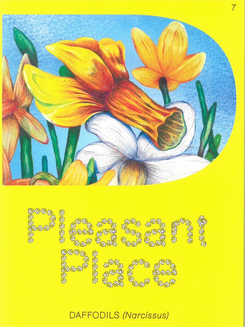 Pleasant Place - DAFFODILS