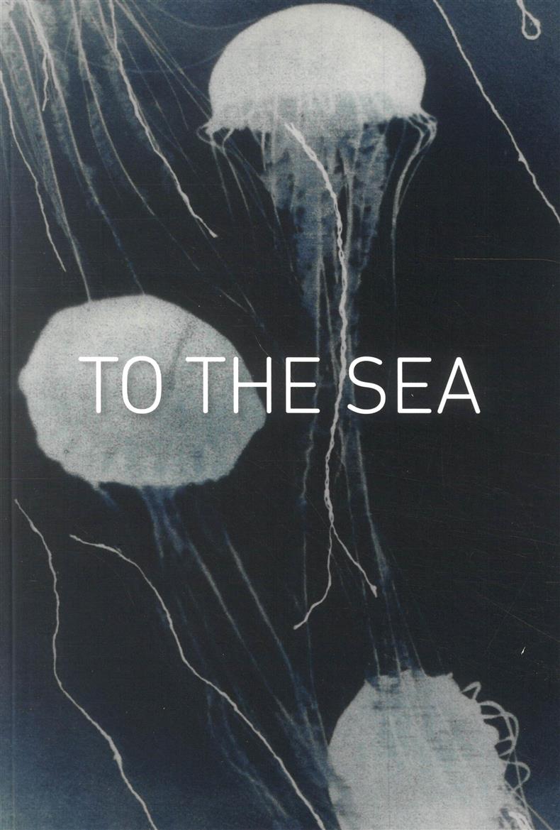 Shutter Hub- To The Sea - NO 01