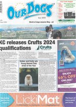 issue 28/04/2023