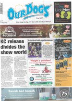 issue 19/05/2023