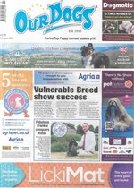 issue 23/06/2023