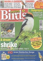 issue 14/06/2023